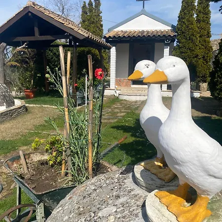 Liotrivi Hébergement de vacances Sidárion